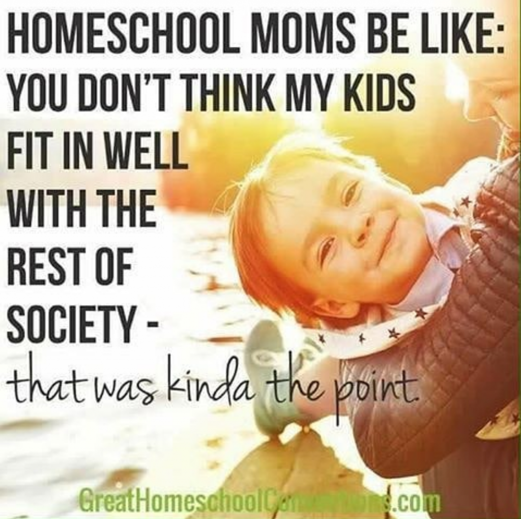 Homeschooled Kids Are Socially Awkward - Homeschool Myth #2 ...