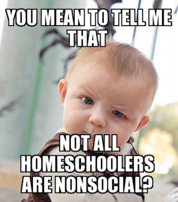 Homeschool Memes to Brighten Your Day - Intentional Homeschooling