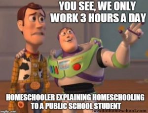 homeschool MEMES that will bring a smile to your face - Intentional ...