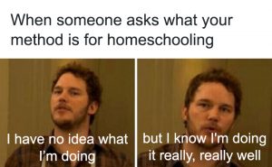 homeschool MEMES that will bring a smile to your face - Intentional ...